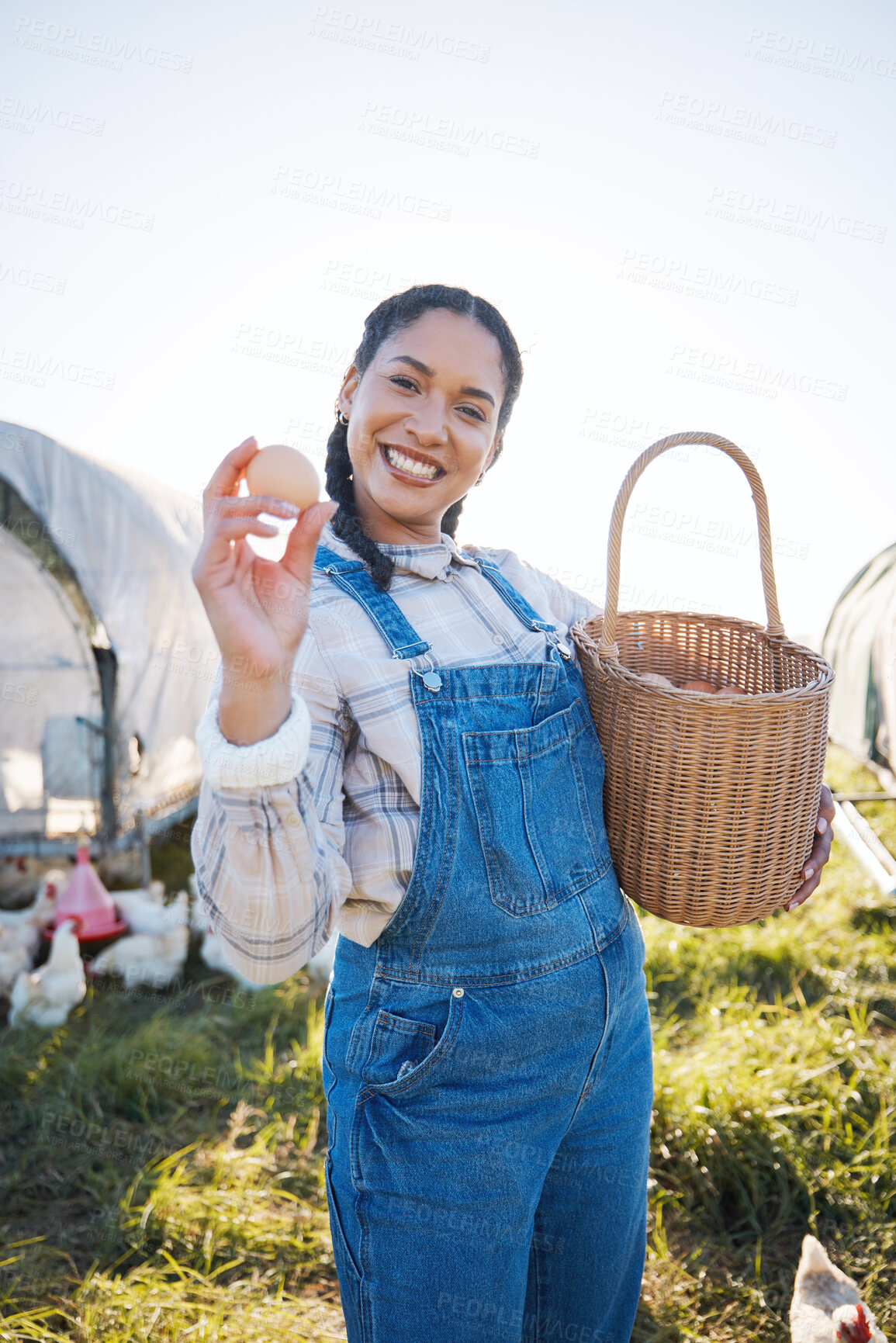 Buy stock photo Egg, portrait and happy woman farming chicken in countryside for eco friendly dairy production. Natural sustainability, small business owner or proud farmer with animals on field or organic barn