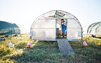 Chicken coop, woman with basket of eggs and birds in grass in countryside greenhouse with sustainable business in field. Agriculture, poultry farm and farmer working with food, animals and nature.