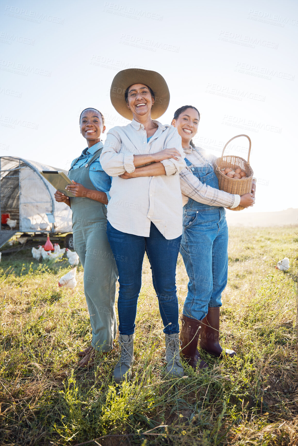 Buy stock photo Eggs, women and working together on farm with technology for inspection and quality control. Farming, sustainability and portrait of farmer group with chicken outdoor for teamwork and small business