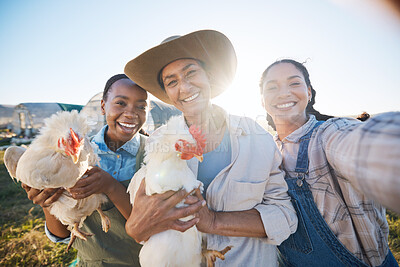 Buy stock photo Happy, selfie or farmers on a chicken farm farm or field harvesting poultry livestock in small business. Social media, smile or portrait of women with animal birds to take photo for farming memory