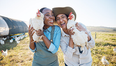Buy stock photo Portrait, teamwork or farmers chicken on farm or field harvesting poultry livestock in small business. Dairy production, collaboration or happy women with animal, hen or rooster for sustainability