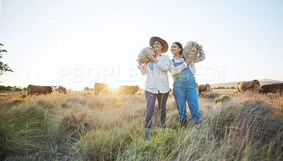 Buy stock photo Farmer, women and agriculture, field and sack of grain with sustainability, partnership and livestock. Cow farm, agro business and team, countryside and environment with support, sunrise and nature