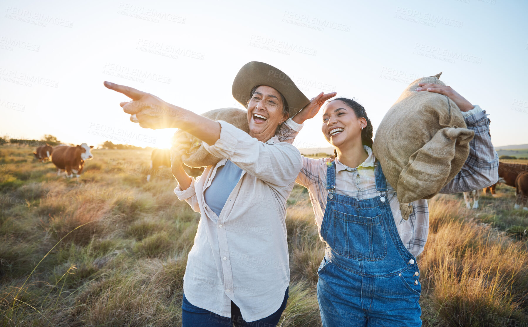 Buy stock photo Hand pointing, happy and women on a farm for sustainability, agro and cattle farming together. Farmer, team female friends in a field for agriculture, eco friendly and livestock, cow or animal check