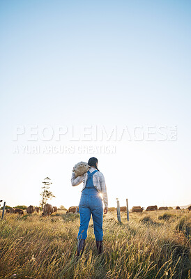 Buy stock photo Walking, bag or farmer farming cattle in grass field harvesting production in small business to trade. Back, mockup space or woman working with sack for animal sustainability or cows on countryside 