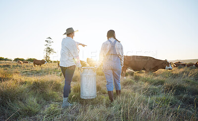 Buy stock photo Walking, teamwork or farmers farming cattle on field harvesting poultry livestock in small business. Dairy production, collaboration or women carrying tank for animal sustainability or cows in nature