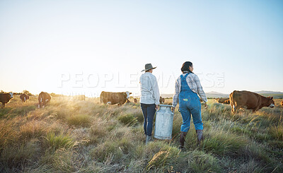 Buy stock photo Walking, teamwork or farmers farming cows on field harvesting poultry livestock in small business. Dairy production, collaboration or women carrying tank for animal sustainability or cattle in nature