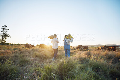 Buy stock photo People, sack or farmers walking to cattle on field harvesting or farming livestock in small business together. Dairy production, teamwork or women carrying bags for animal growth or cows in nature 