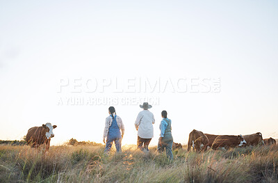 Buy stock photo Farm, countryside and women in field with cow for inspection, livestock health and animal care. Agro business, agriculture and people with cattle for dairy, beef production and sustainable farming