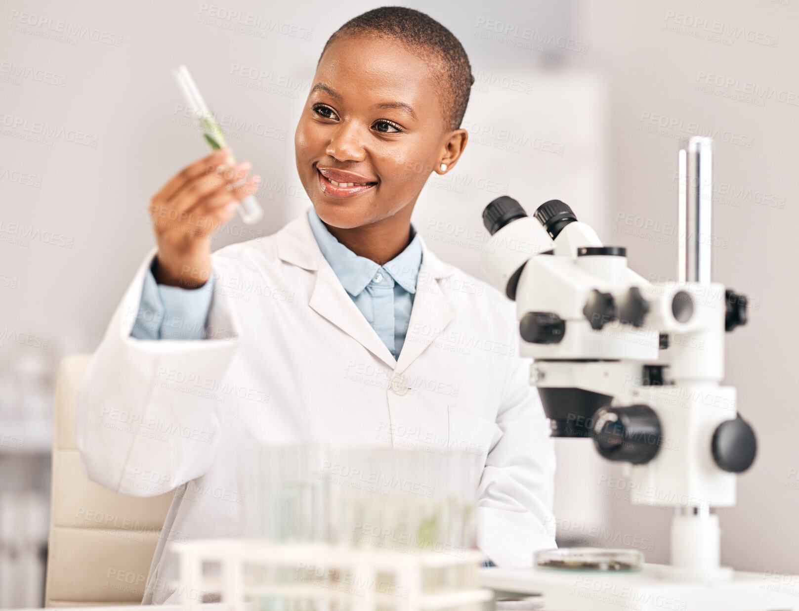 Buy stock photo Scientist, woman and plants, test tube and pharmaceutical research, sustainable or herbs medicine in laboratory. Medical student or happy african person in science analysis with eco friendly solution