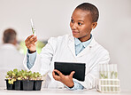 Scientist, woman and plants, tablet and test tube for laboratory research, agriculture or sustainability analysis. African student in science of leaf, growth check and eco study on digital technology