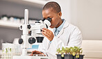 Science, woman and plants, microscope or laboratory research for agriculture, sustainability and leaves test or analysis. Scientist or doctor with lens for eco friendly study, food security or growth