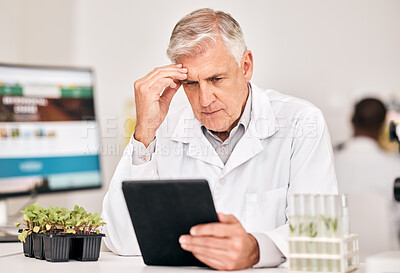 Buy stock photo Scientist, plants and thinking on tablet for agriculture solution, problem solving and growth analysis. Science doctor or manager headache for digital results or sustainability research in laboratory