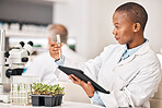 Scientist, test tube and plants on tablet for laboratory research, agriculture and sustainability analysis. African woman or student in science with leaf, growth and eco study on digital technology