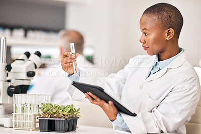 Buy stock photo Scientist, test tube and plants on tablet for laboratory research, agriculture and sustainability analysis. African woman or student in science with leaf, growth and eco study on digital technology