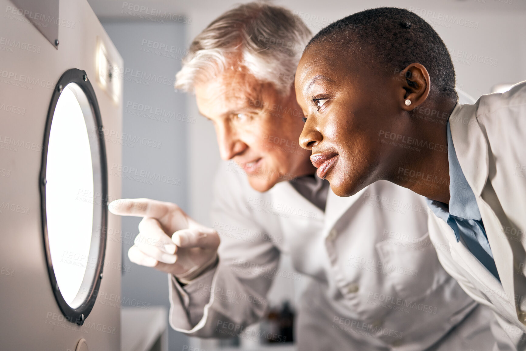 Buy stock photo Scientist, teamwork and incubator in laboratory for research, growth check or medical study with mentor. Doctors, people or science expert in microbiology window for analysis, test and happy results
