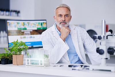 Buy stock photo Portrait, mature scientist and man in laboratory for research, working and experiment of plants. Face, science doctor and medical professional studying food, gmo or leaf for healthcare in Canada.