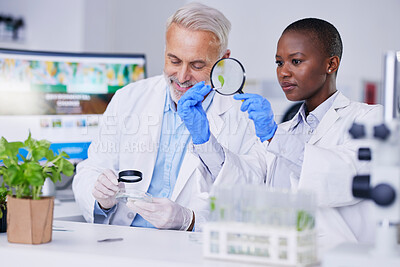 Buy stock photo Research, scientists and team for ecology science, plant innovation and studying in lab. Together, diversity and man and woman with agriculture for futuristic environment  analysis or sustainability