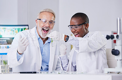 Buy stock photo Scientist, people with test tube and plant, cheers and success, black woman and senior man, medical research in lab. Mentor, learning and leaf sample, environment study breakthrough and celebration