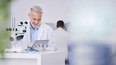 Buy stock photo Science, lab and man with tablet, research and biotech with plants, botany or sustainable medicine mockup. Professional scientist in study on nature, growth and digital report of leaves in laboratory