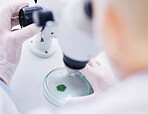 Leaf in petri dish, microscope and scientist with analysis, liquid solution and environment science with medical research. Investigation, review and agriculture, person check plant sample in lab