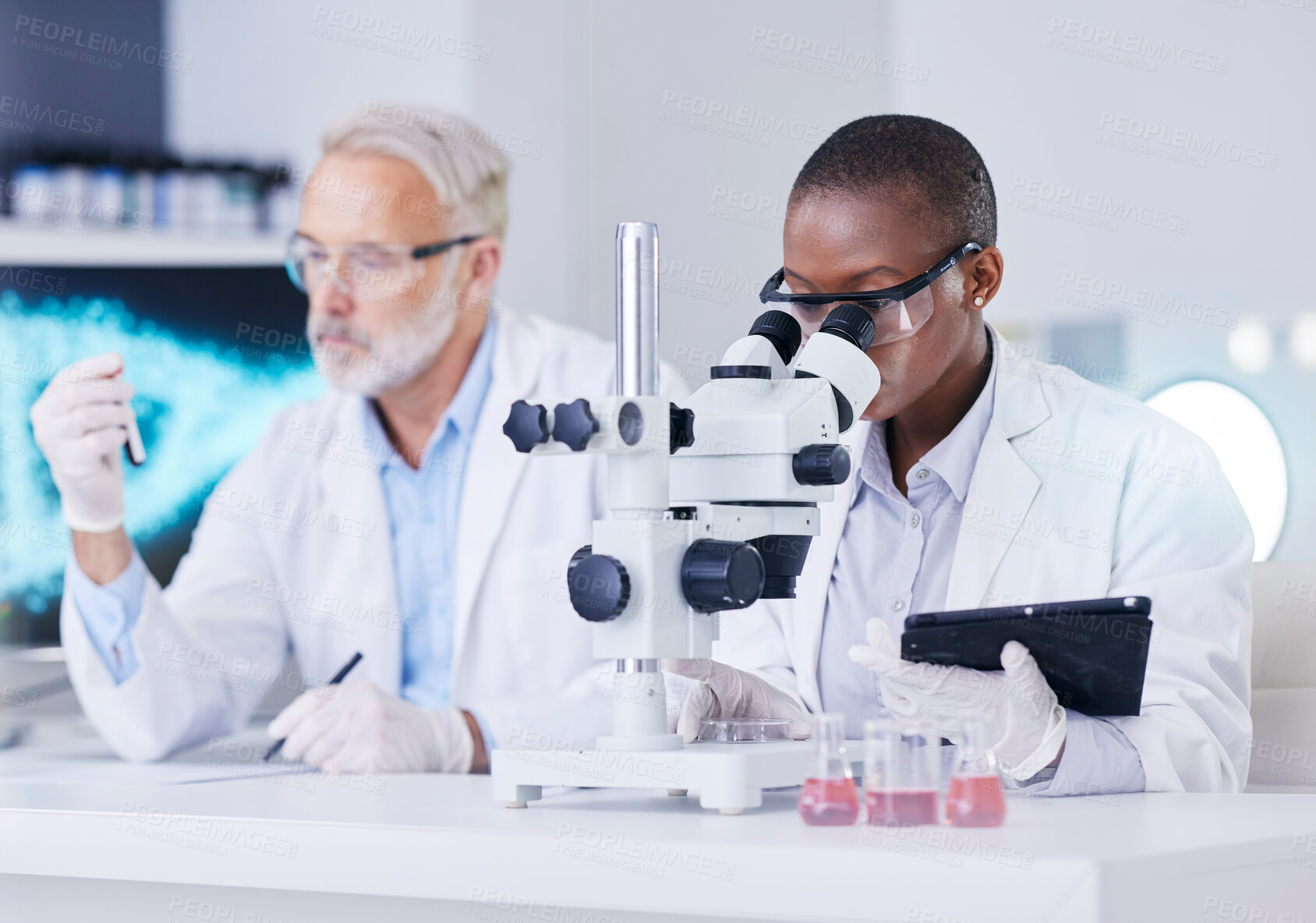 Buy stock photo Science, laboratory and black woman with microscope, tablet and man with blood sample, test tube and medicine. Professional scientist team with study on virus growth, dna and analysis in lab together