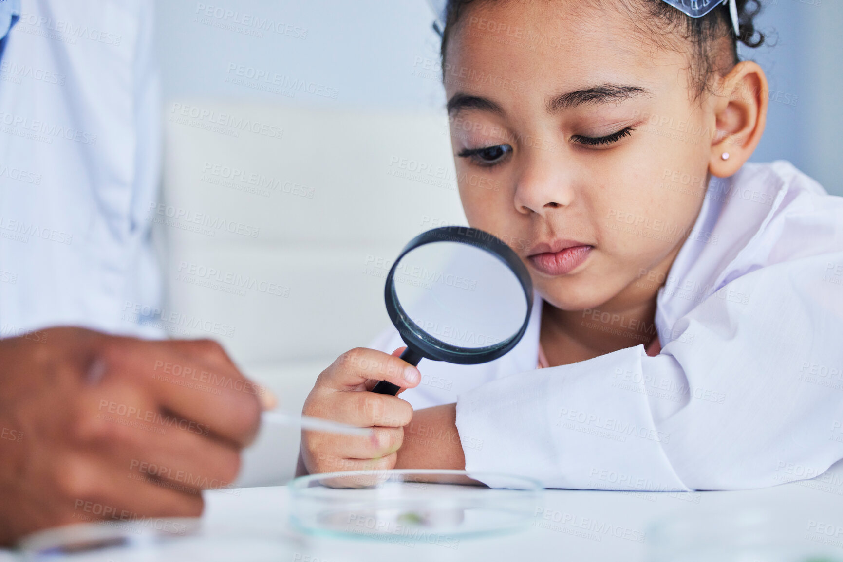 Buy stock photo Child, science and girl with a magnifying glass in laboratory learning, research or curious to study chemistry in education. Kid, scientist and check with a magnifier on experiment, test or analysis