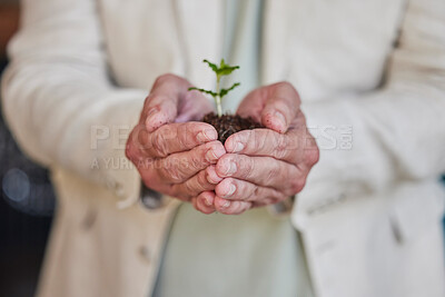 Buy stock photo Earth day, plants and hands of professional person with business growth, climate change support or agriculture development. Eco investment, company charity project and employee palm help environment