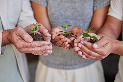 Buy stock photo Hands, new plant and palm of business people with climate change help, eco friendly community service and agriculture care. Sustainability commitment, company carbon footprint or team hope for growth