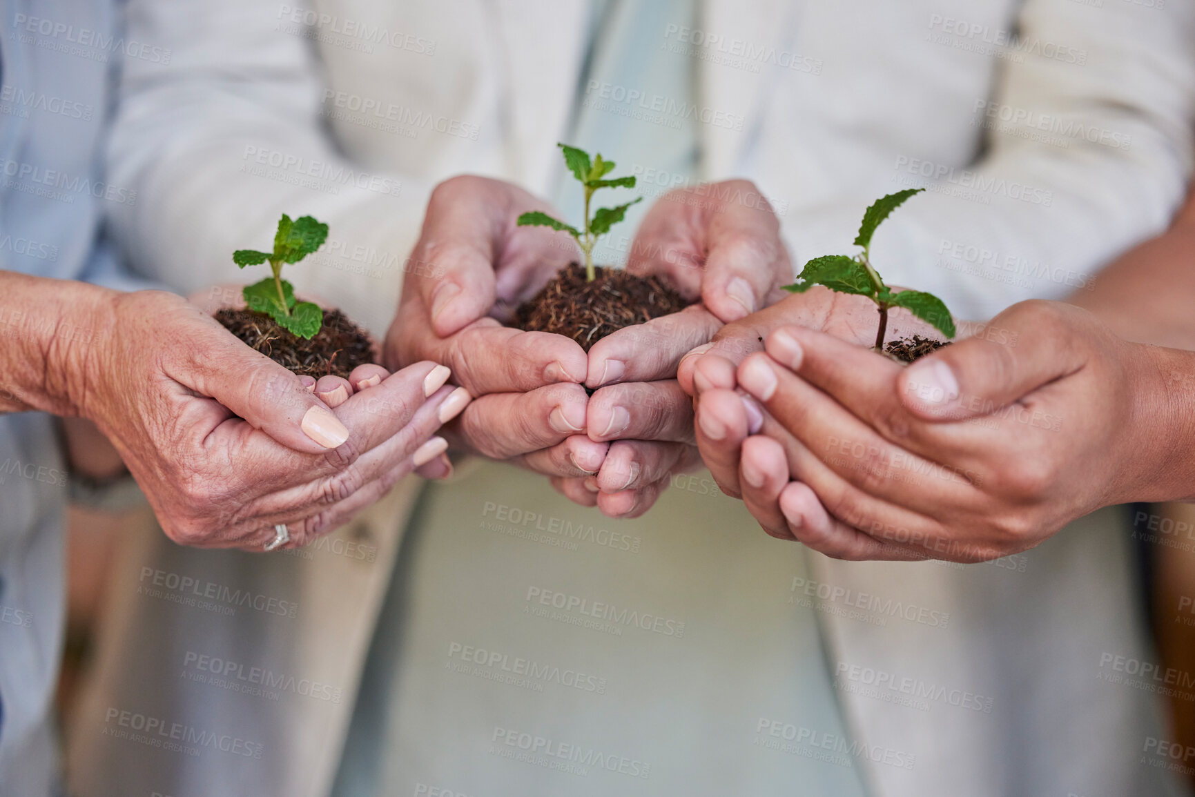 Buy stock photo Earth day, nature plants and hands of business people with new tree life, green leaf or nurture agriculture growth. Sustainability, community charity and corporate team help eco friendly environment