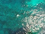 Above, swimming and a person in the ocean in summer for a beach vacation, travel or relax in the water. Nature, sunshine and a man in the sea for stress relief, holiday or happy with a drone view