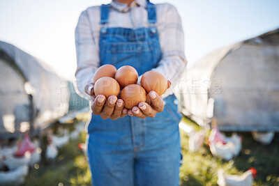 Buy stock photo Woman with eggs in hands, farm and chickens on grass in sunshine in countryside field with sustainable business. Agriculture, poultry farming and farmer holding produce for food, nature and birds.
