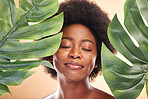 Woman, face and monstera leaves for beauty, natural cosmetics and aesthetic wellness on studio background. Happy african model, green plants and sustainability of vegan dermatology, skincare and glow