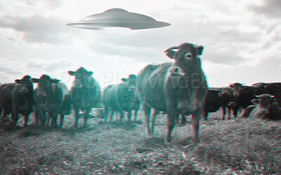 Buy stock photo Alien, spaceship and UFO with cow on farm for fantasy, science fiction and space invasion. Extraterrestrial, countryside and flying saucer beam on cattle ranch for discovery, abduction and mystery