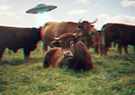 Ufo, futuristic and spaceship with cow on farm for science fiction, agriculture and universe. Galaxy, mission and outer space with spacecraft and alien abduction in countryside for planet and drone