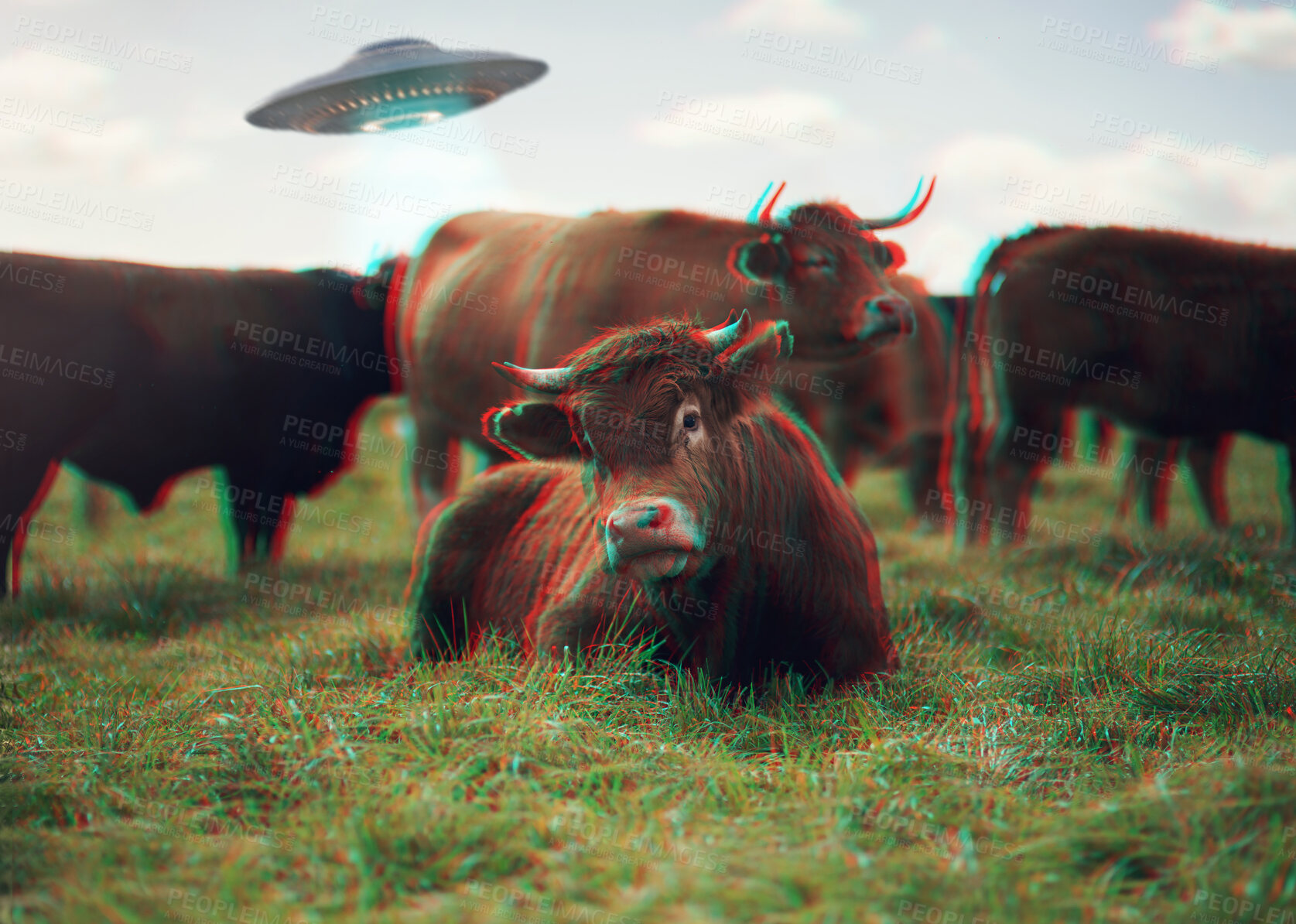 Buy stock photo Ufo, futuristic and spaceship with cow on farm for science fiction, agriculture and universe. Galaxy, mission and outer space with spacecraft and alien abduction in countryside for planet and drone