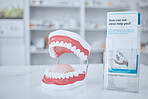 Dental, healthcare and model of teeth in clinic for medical, smile dentures and orthodontics. Insurance, cleaning and consulting with pamphlet in pharmacy store for medical, information and wellness