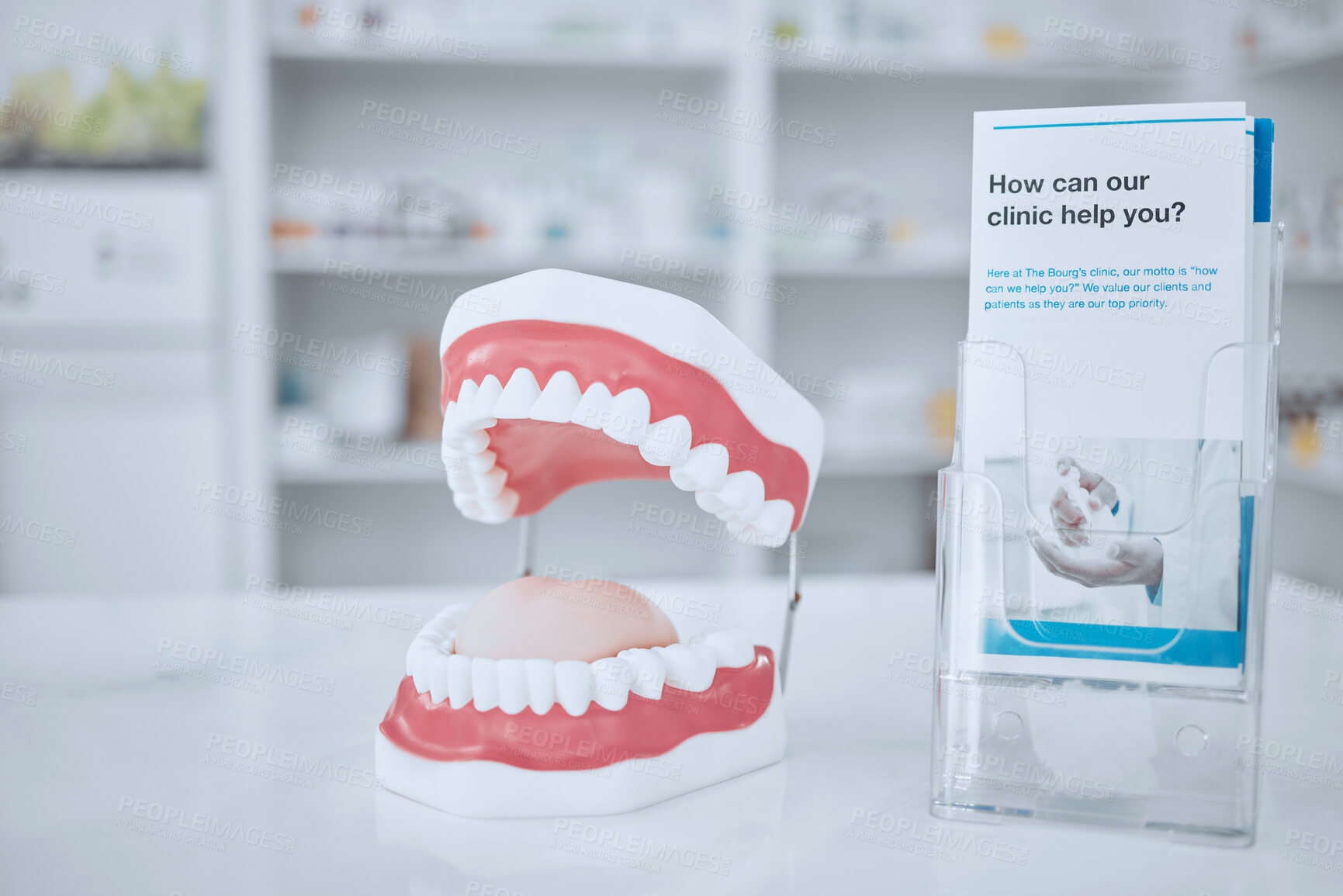 Buy stock photo Dental, healthcare and model of teeth in clinic for medical, smile dentures and orthodontics. Insurance, cleaning and consulting with pamphlet in pharmacy store for medical, information and wellness