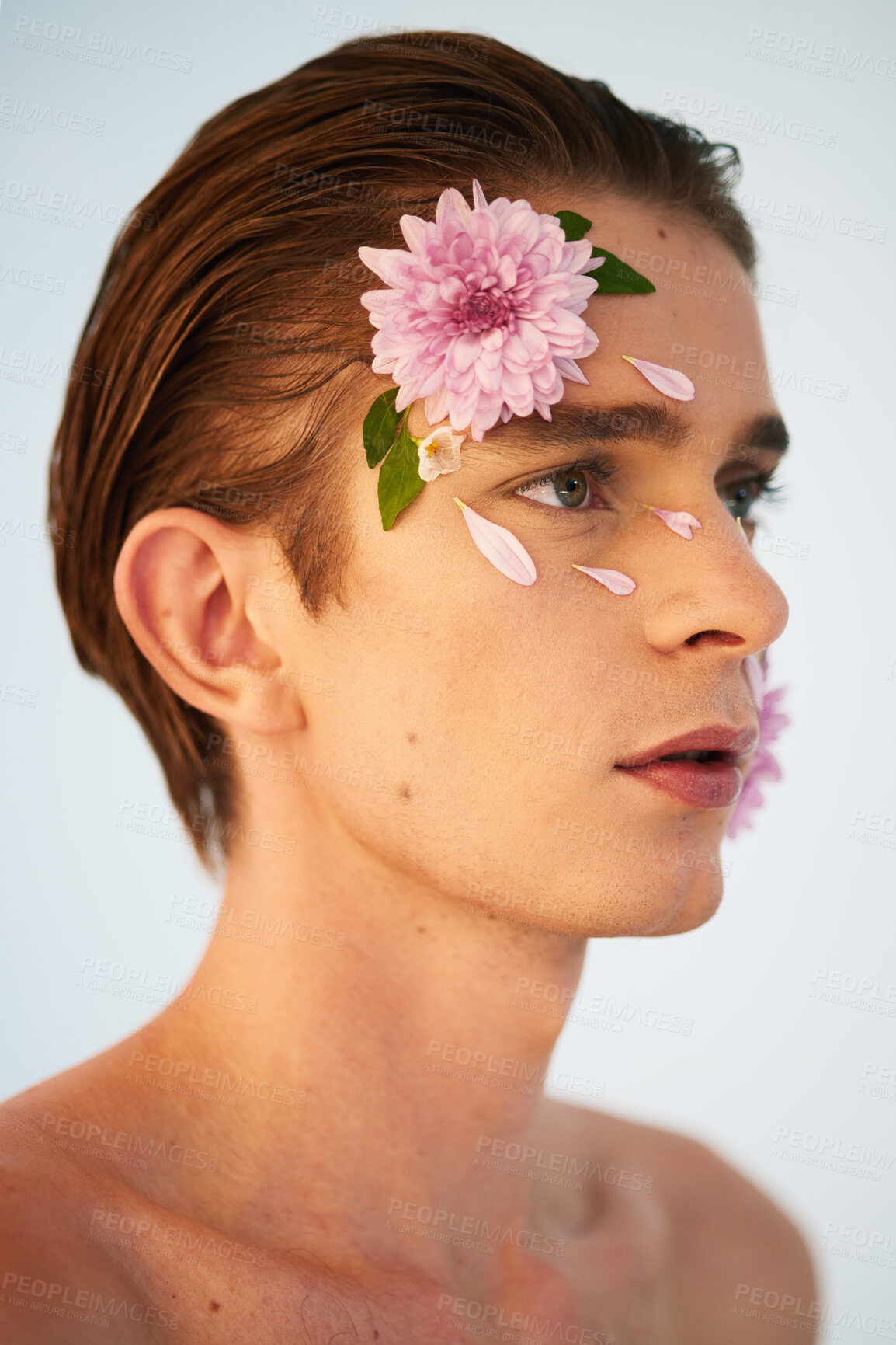 Buy stock photo Beauty, petals and flowers on face of man in studio for spring, natural cosmetics and creative. Glow, self love and floral with model on white background for makeup, spa treatment and wellness