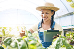 Farmer, woman and tablet for greenhouse plants, growth inspection and vegetables development in agriculture. Young worker farming, quality assurance and digital tech for food or gardening progress