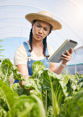 Buy stock photo Farmer, thinking and tablet for greenhouse plants, growth inspection and vegetables development in agriculture. Young woman farming, quality assurance and digital tech for food or gardening progress
