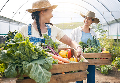 Buy stock photo Teamwork, agriculture and vegetable farming in a greenhouse for harvest and sustainability. Farmer people or women together on a farm for eco lifestyle, agro startup or organic food for wellness