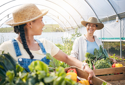 Buy stock photo Farming, agriculture and women with vegetables and teamwork in a greenhouse for sustainability. Happy people working together on a farm for eco lifestyle, agro startup or  organic food for wellness