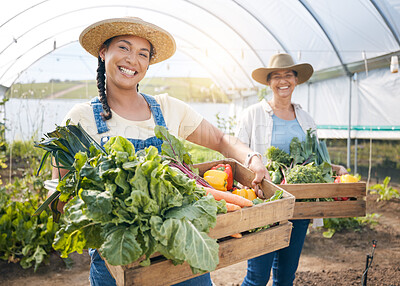 Buy stock photo Agriculture, teamwork and vegetable farming in a greenhouse for sustainability. Portrait of farmer people or women together on a farm for eco lifestyle, agro startup or organic food for wellness