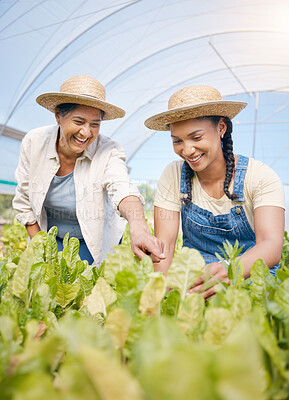 Buy stock photo Agriculture, farming and women talking of plants in greenhouse for sustainability. Happy people or team work on farm for eco gardening, agro startup or organic food, vegetable or lettuce for wellness