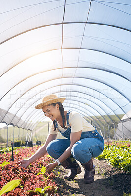Buy stock photo Farmer, woman and plants in greenhouse for farming, agriculture and vegetables growth or production. Excited worker in field for quality assurance, gardening or green and red lettuce in agro business