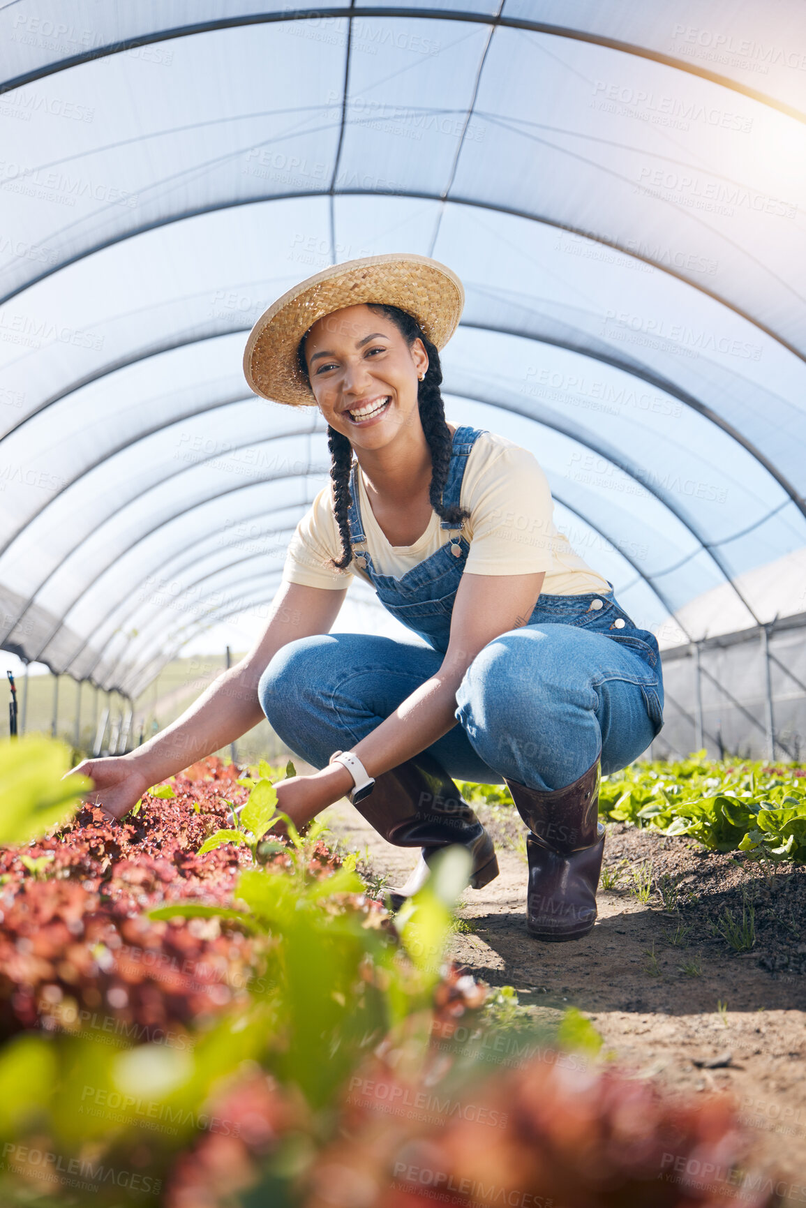 Buy stock photo Portrait, agriculture and a farmer woman in a greenhouse for sustainability, organic growth or farming. Plant, smile and a female farm worker in an agro environment in the countryside for gardening