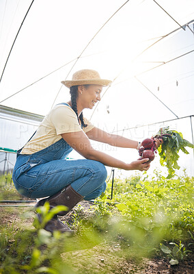 Buy stock photo Greenhouse, farming and happy woman with beetroot at sustainable small business in agriculture and organic food. Girl with smile working at agro farm, vegetable growth in garden and eco friendly job.