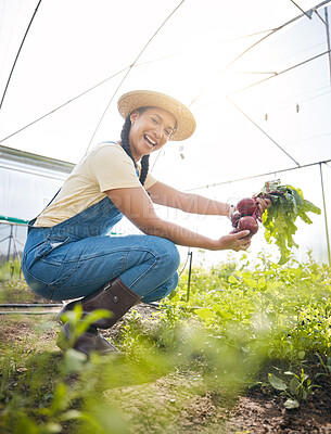 Buy stock photo Farming, portrait of happy woman holding vegetables at sustainable small business in agriculture and organic food. Girl working at agro greenhouse, beetroot growth in garden and eco friendly smile.