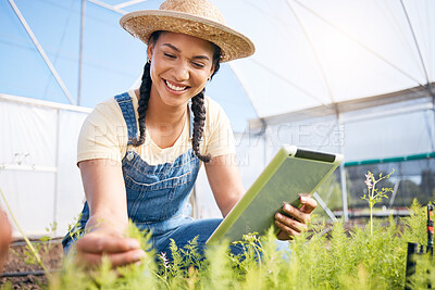 Buy stock photo Woman, agriculture and tablet for gardening herbs, plants and check growth in greenhouse. Happy farmer, digital tech or farming app for agro food production, leaf inspection and sustainable business