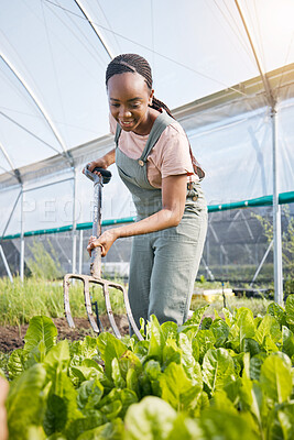 Buy stock photo Woman, fork and vegetable gardening for agriculture, sustainable business or food production. Happy african farmer, greenhouse and farming tools to harvest lettuce, plants or eco friendly environment